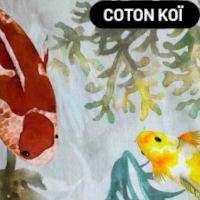 coton koi