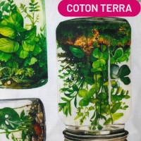 coton terra