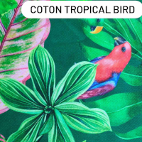 coton tropical bird
